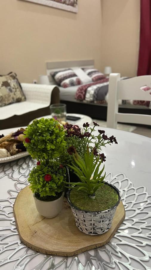 Apartment Downtown Podgorica Kültér fotó