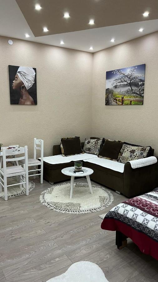 Apartment Downtown Podgorica Kültér fotó