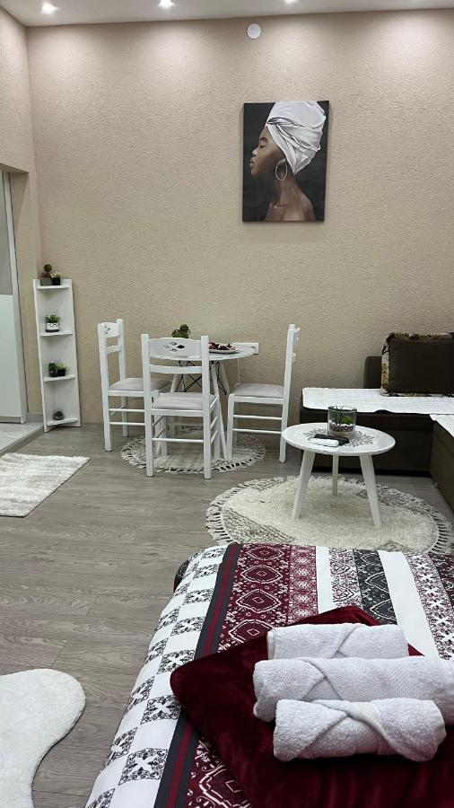 Apartment Downtown Podgorica Kültér fotó